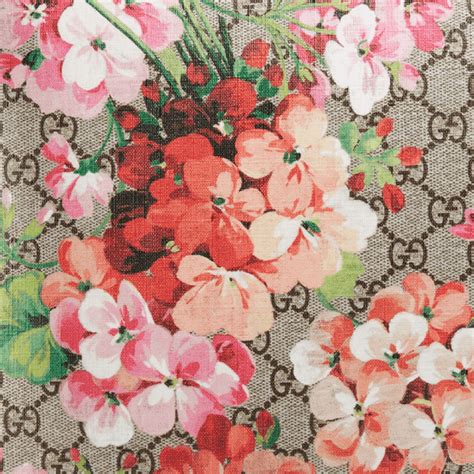 gucci bloom wallpaper|More.